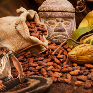 Tour del Cacao al Chocolate Desde