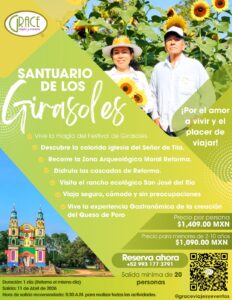 Santuario de los Girasoles 🌻