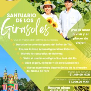 Santuario de los Girasoles 🌻
