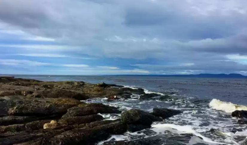 Crucero Patagonia & Argentina – Celebrity Equinox - Image 6