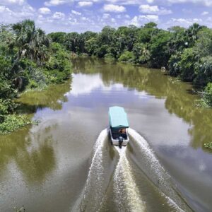 Tour Pantano de Centla, Frontera Tabasco